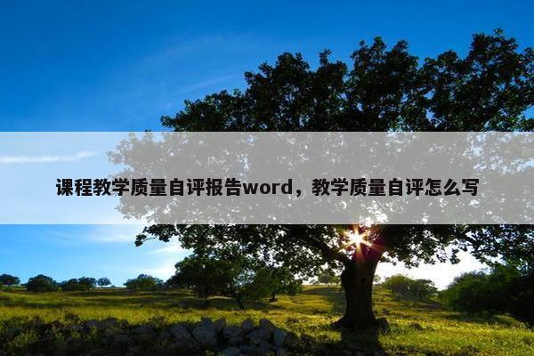 课程教学质量自评报告word，教学质量自评怎么写
