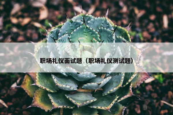 职场礼仪面试题（职场礼仪测试题）