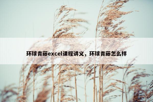 环球青藤excel课程讲义，环球青藤怎么样