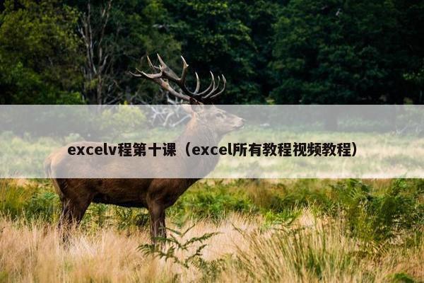 excelv程第十课（excel所有教程视频教程）