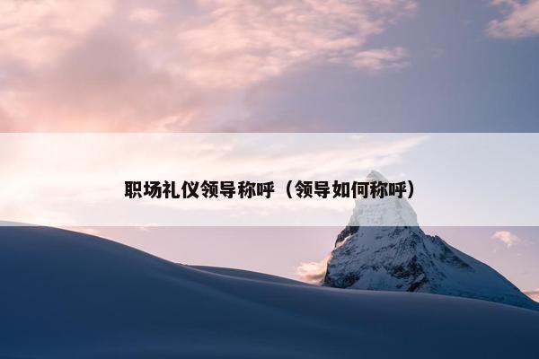 职场礼仪领导称呼（领导如何称呼）