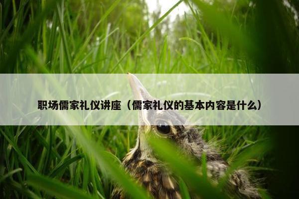 职场儒家礼仪讲座（儒家礼仪的基本内容是什么）