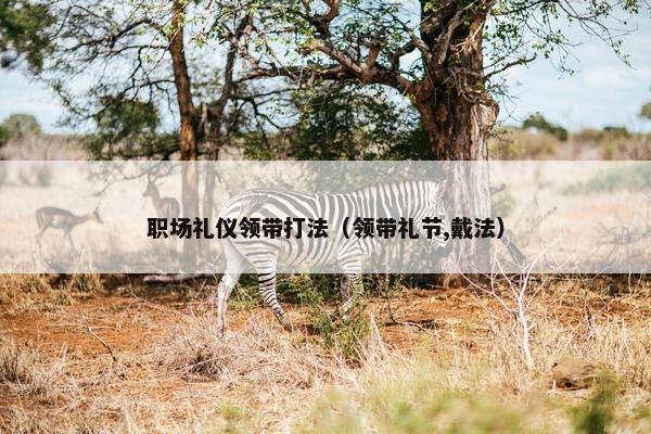 职场礼仪领带打法（领带礼节,戴法）