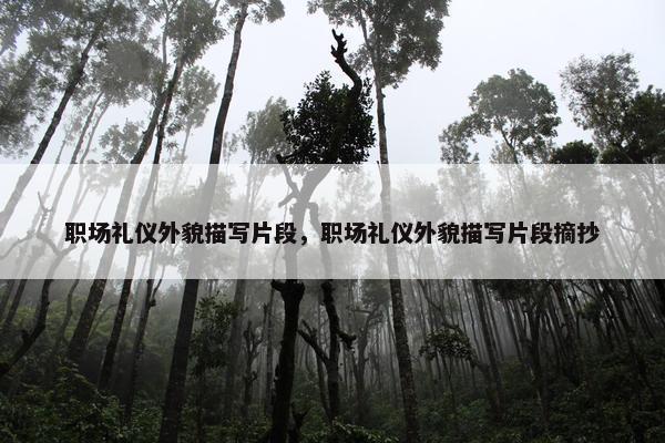 职场礼仪外貌描写片段，职场礼仪外貌描写片段摘抄