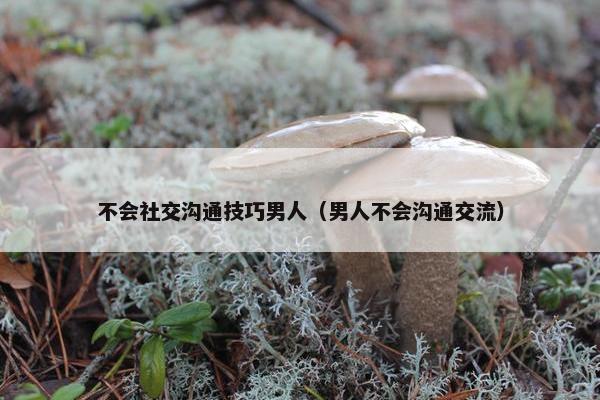 不会社交沟通技巧男人（男人不会沟通交流）