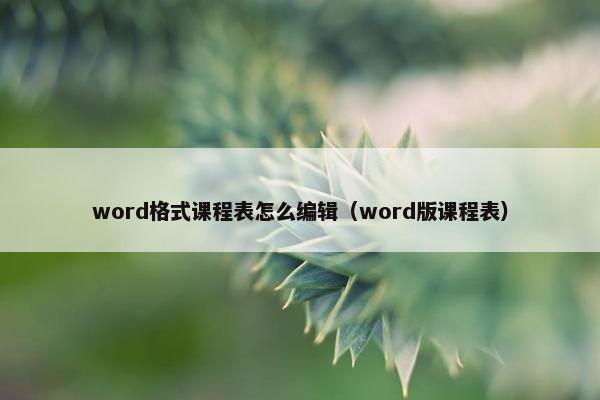 word格式课程表怎么编辑（word版课程表）