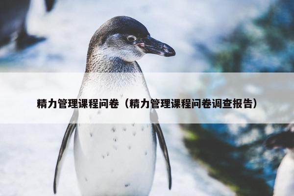 精力管理课程问卷（精力管理课程问卷调查报告）