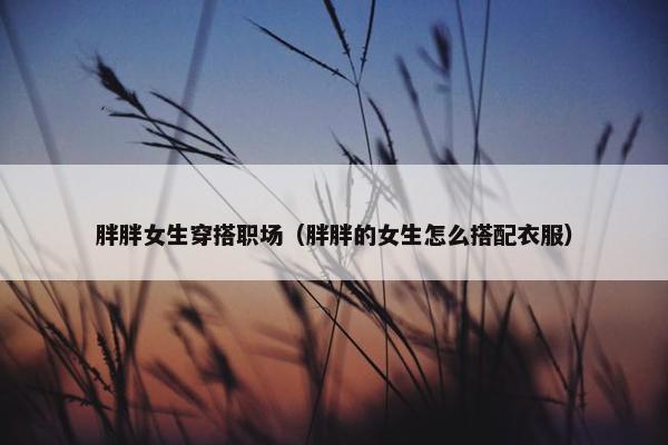 胖胖女生穿搭职场（胖胖的女生怎么搭配衣服）
