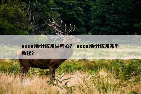 excel会计应用课程心？ excel会计应用系列教程？