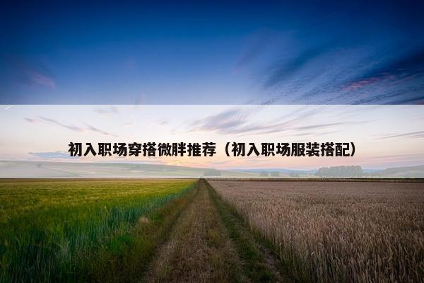 初入职场穿搭微胖推荐（初入职场服装搭配）