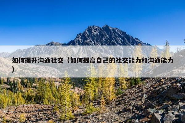 如何提升沟通社交（如何提高自己的社交能力和沟通能力）