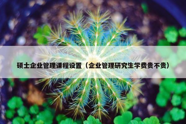 硕士企业管理课程设置（企业管理研究生学费贵不贵）