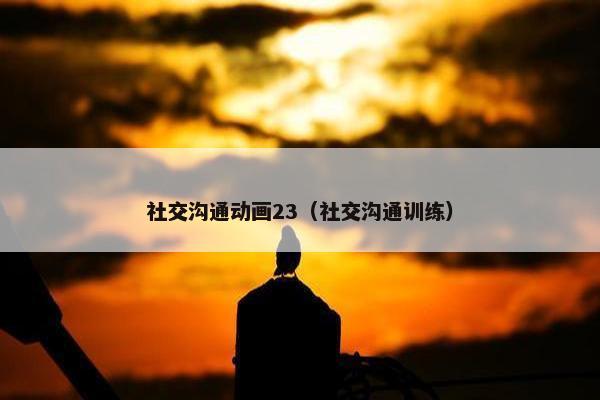 社交沟通动画23（社交沟通训练）