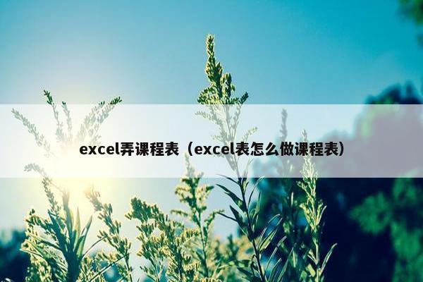 excel弄课程表（excel表怎么做课程表）