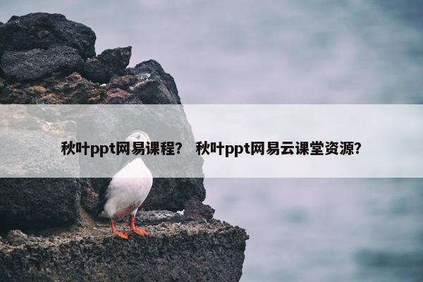 秋叶ppt网易课程？ 秋叶ppt网易云课堂资源？