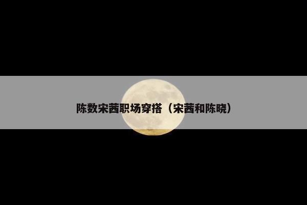 陈数宋茜职场穿搭（宋茜和陈晓）