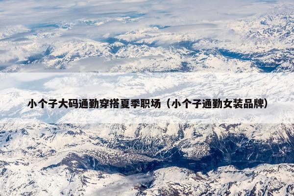 小个子大码通勤穿搭夏季职场（小个子通勤女装品牌）