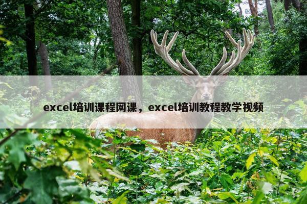 excel培训课程网课，excel培训教程教学视频