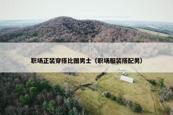 职场正装穿搭比图男士（职场服装搭配男）