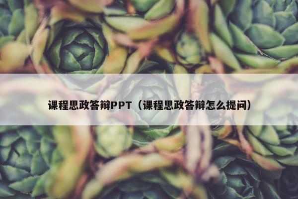课程思政答辩PPT（课程思政答辩怎么提问）