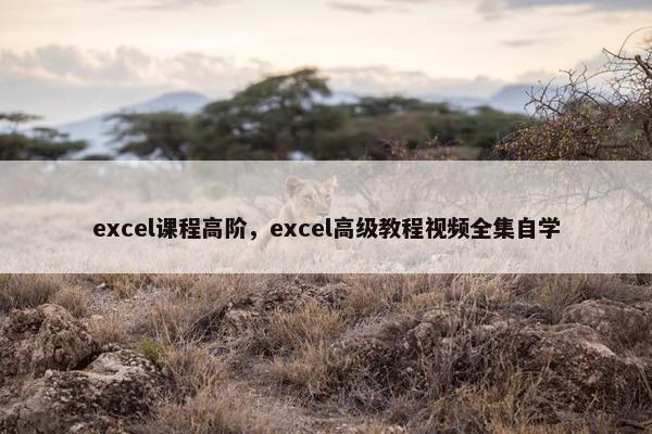 excel课程高阶，excel高级教程视频全集自学
