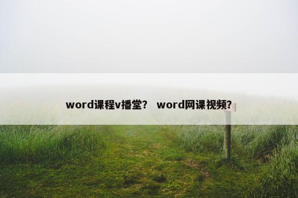 word课程v播堂？ word网课视频？