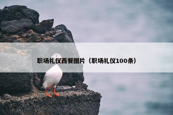 职场礼仪西餐图片（职场礼仪100条）