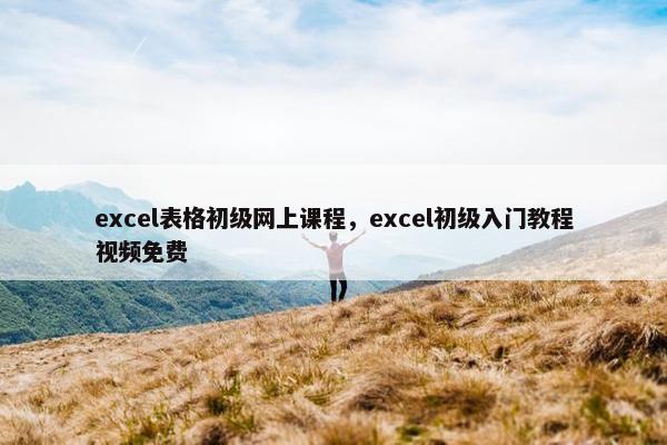 excel表格初级网上课程，excel初级入门教程视频免费