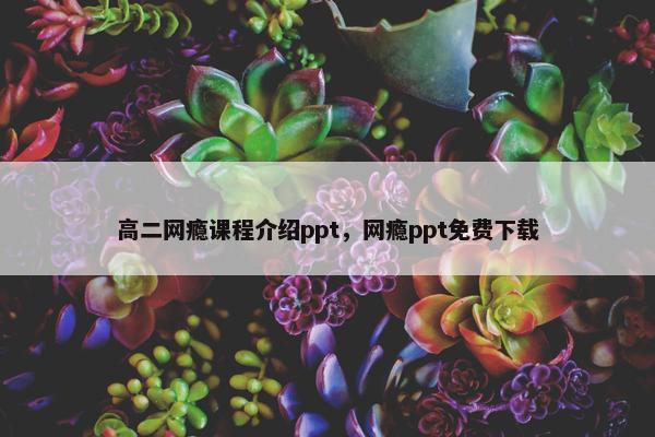 高二网瘾课程介绍ppt，网瘾ppt免费下载