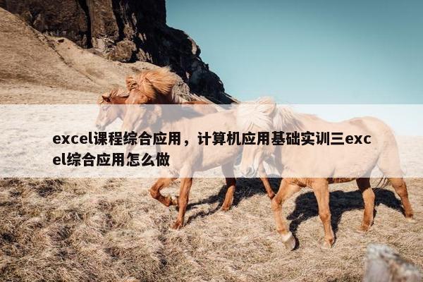 excel课程综合应用，计算机应用基础实训三excel综合应用怎么做