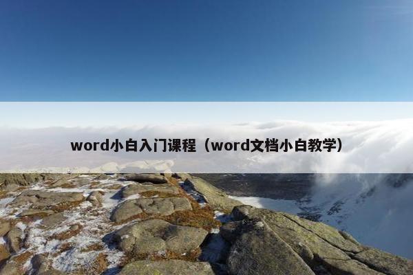 word小白入门课程（word文档小白教学）