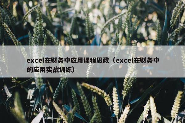 excel在财务中应用课程思政（excel在财务中的应用实战训练）