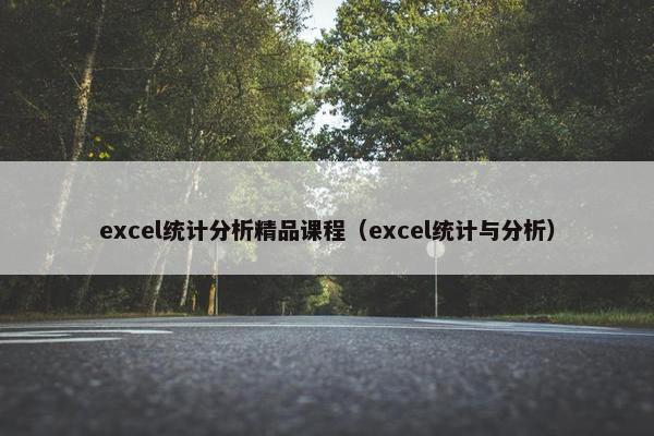 excel统计分析精品课程（excel统计与分析）