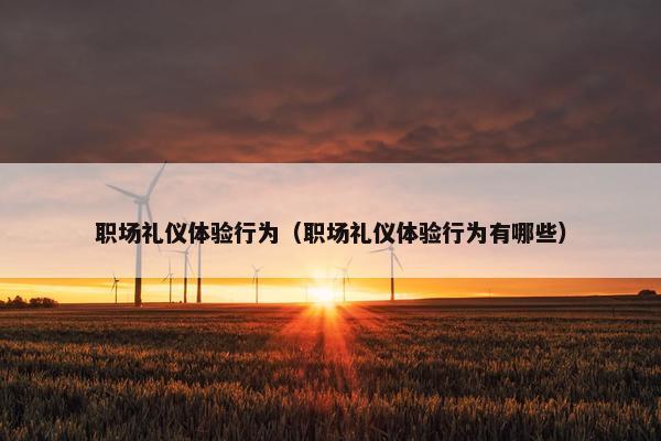 职场礼仪体验行为（职场礼仪体验行为有哪些）