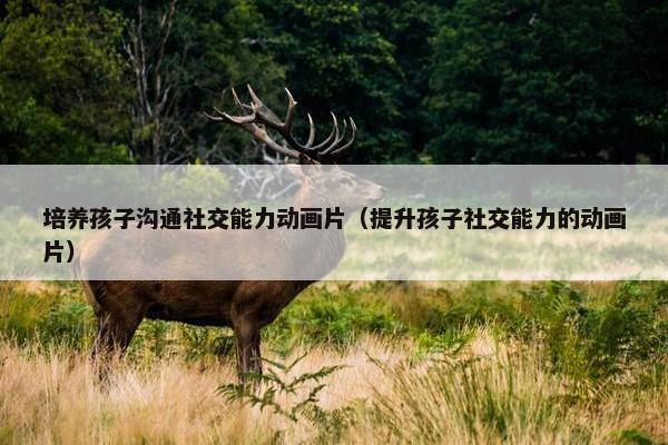 培养孩子沟通社交能力动画片（提升孩子社交能力的动画片）