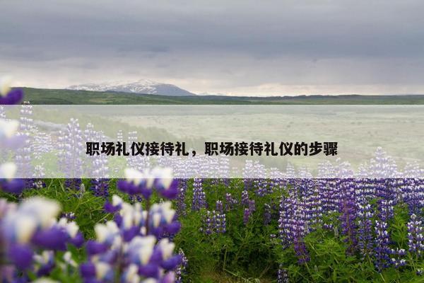 职场礼仪接待礼，职场接待礼仪的步骤