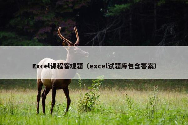 Excel课程客观题（excel试题库包含答案）