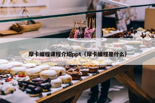 摩卡编程课程介绍ppt（摩卡编程是什么）