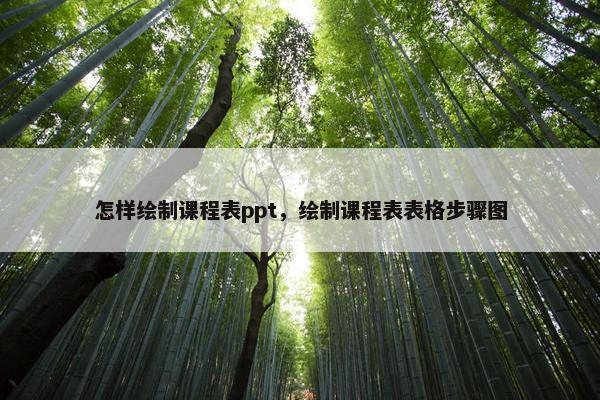 怎样绘制课程表ppt，绘制课程表表格步骤图