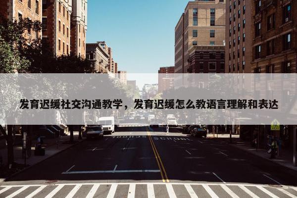 发育迟缓社交沟通教学，发育迟缓怎么教语言理解和表达