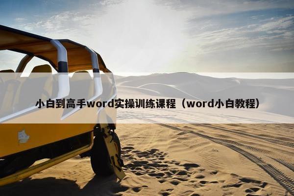 小白到高手word实操训练课程（word小白教程）