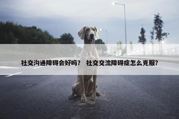 社交沟通障碍会好吗？ 社交交流障碍症怎么克服？