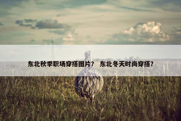 东北秋季职场穿搭图片？ 东北冬天时尚穿搭？