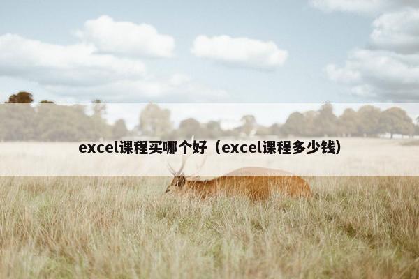 excel课程买哪个好（excel课程多少钱）