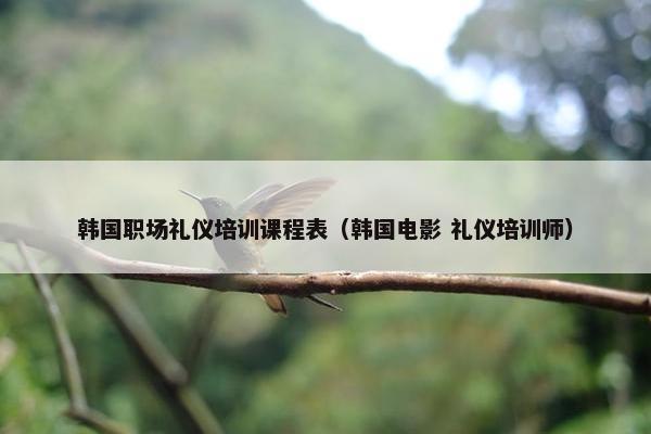 韩国职场礼仪培训课程表（韩国电影 礼仪培训师）