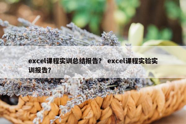 excel课程实训总结报告？ excel课程实验实训报告？