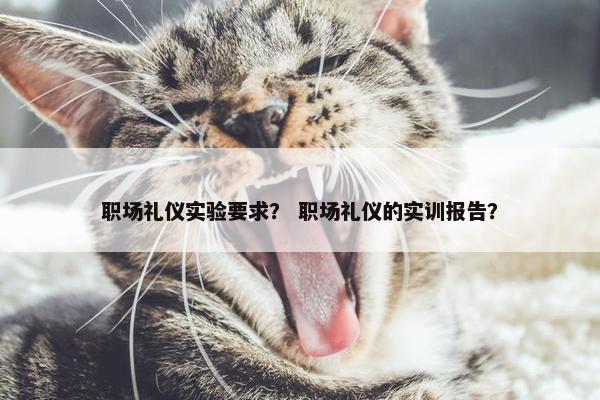 职场礼仪实验要求？ 职场礼仪的实训报告？