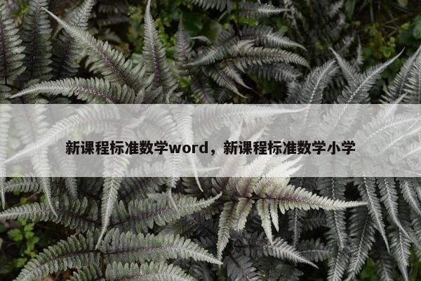 新课程标准数学word，新课程标准数学小学