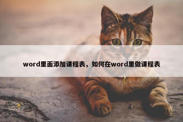 word里面添加课程表，如何在word里做课程表