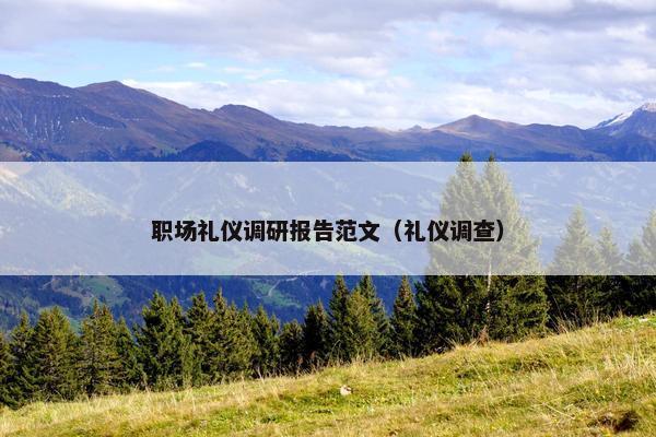 职场礼仪调研报告范文（礼仪调查）